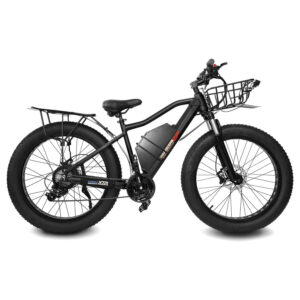 HEC-2000 electric bike with racks and fenders